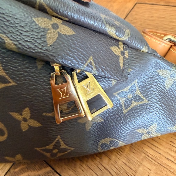 Louis Vuitton Monogram Bum Bag - Picture 9 of 14